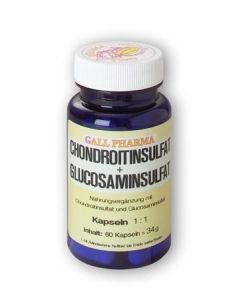 GPH Chondroitinsulfat + Glucosaminsulfat 1:1 Kapseln, 180 Stück