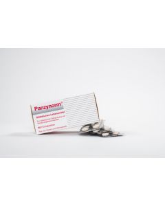 Panzynorm Filmtabletten, 60 Stk.