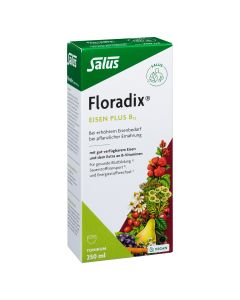 Floradix Eisen plus B12 vegan BIO-Tonikum, 250ml